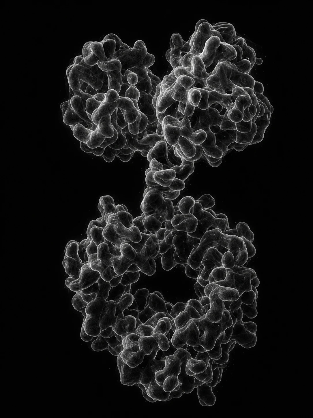 Scientific visualization representing antibody-fusion protein engineering