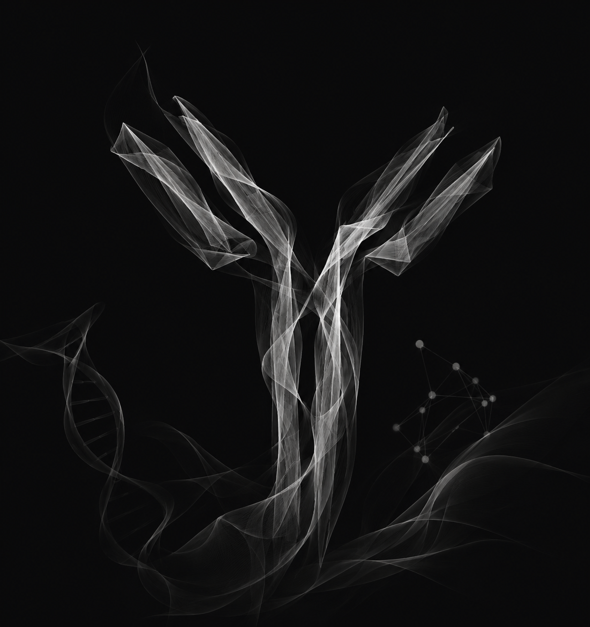 NovelDesign