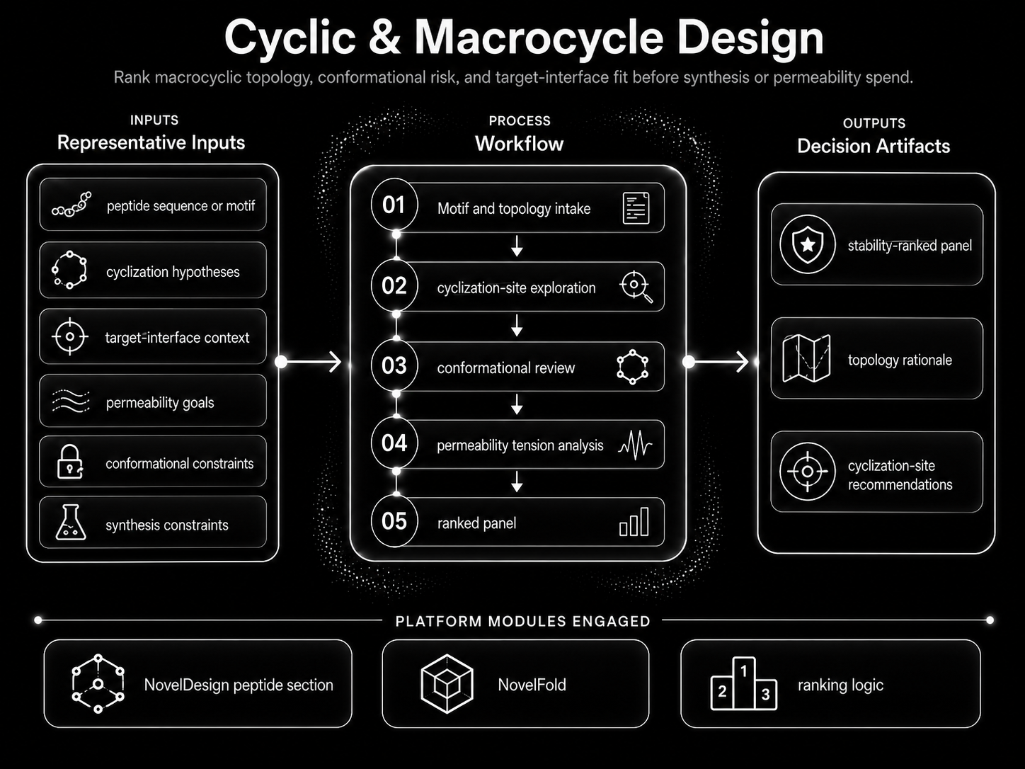 Cyclic & Macrocycle Design workflow visual